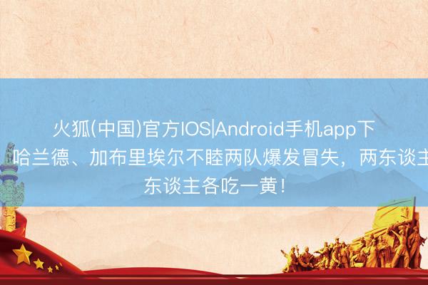 火狐(中国)官方IOS|Android手机app下载 杠上了！哈兰德、加布里埃尔不睦两队爆发冒失，两东谈主各吃一黄！