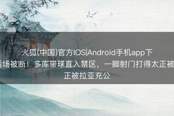火狐(中国)官方IOS|Android手机app下载 埃泽后场被断！多库带球直入禁区，一脚射门打得太正被拉亚充公