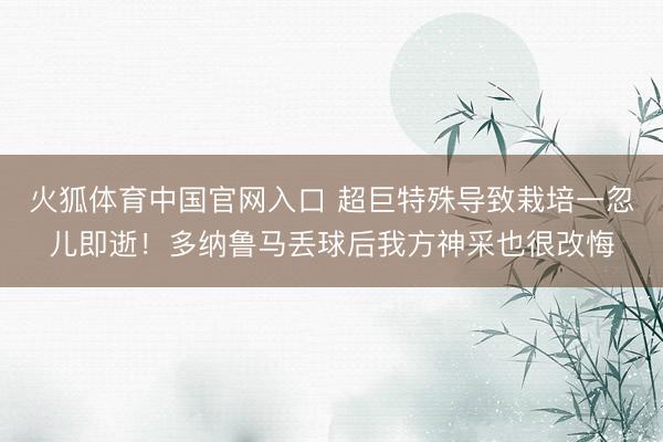 火狐体育中国官网入口 超巨特殊导致栽培一忽儿即逝！多纳鲁马丢球后我方神采也很改悔