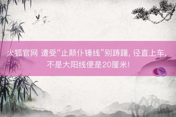 火狐官网 遭受“止颠仆锤线”别踌躇， 径直上车， 不是大阳线便是20厘米!