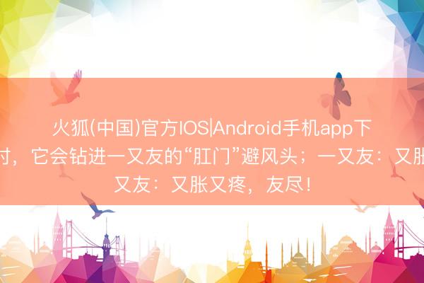 火狐(中国)官方IOS|Android手机app下载 碰到危急时，它会钻进一又友的“肛门”避风头；一又友：又胀又疼，友尽！