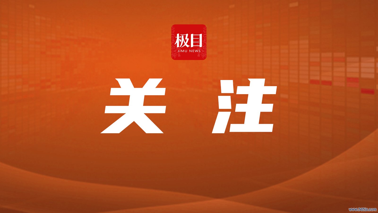 体恤.jpg