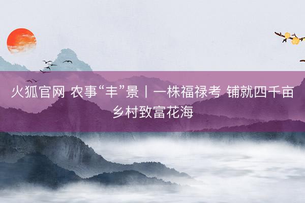 火狐官网 农事“丰”景丨一株福禄考 铺就四千亩乡村致富花海